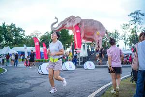 BIB: 
                            <button type="button" onclick="openModal(26551689)" class="btn btn-primary btn-sm float-right btn-popup" data-toggle="modal" data-target=".modal-high-quality">
                        <i class="fas fa-shopping-cart"></i> Add to Cart
                    </button>
                                            <button type="button" onclick="isThisMe(26551689, true)" class="btn btn-success btn-sm float-right btn-popup btn-isme hidden" data-toggle="tooltip" data-placement="bottom" title="นี่คือรูปของคุณใช่ไหม คลิกที่นี่เพื่อเอาเข้าอัลบั้ม">
                        <i class="fas fa-plus"></i> Add to album
                    </button>
                    <button type="button" onclick="isThisMe(26551689, false)" class="btn btn-warning btn-sm float-right btn-popup btn-isnotme hidden">
                        <i class="fas fa-ban"></i> Remove from album
                    </button>